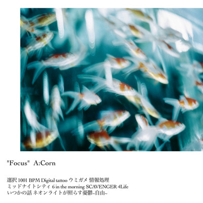 Focus Front Cover