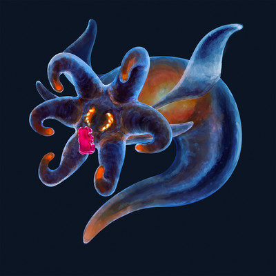 Alice lies Front Cover