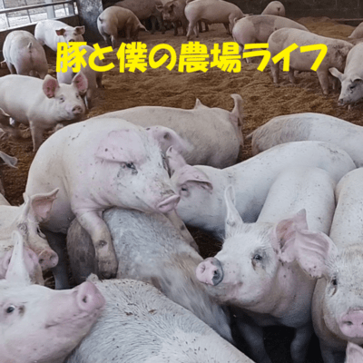 豚と僕の農場ライフのジャケット写真