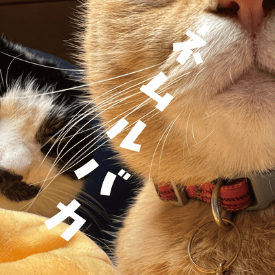 nemurubaka Front Cover