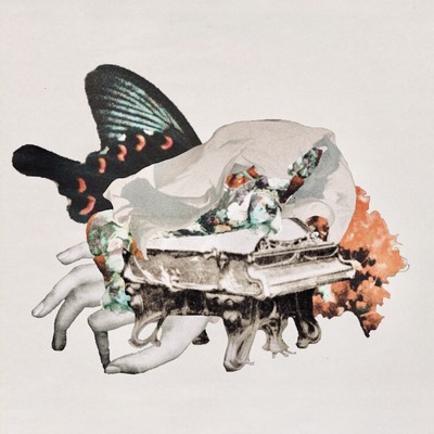 doyounamitosarusuberi Front Cover