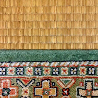 Trip in the room Front Cover
