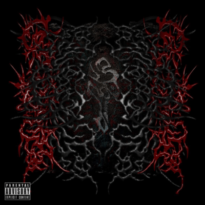 STUPID (feat. rirugiliyangugili & Number Collector) Front Cover