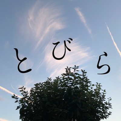 扉のジャケット写真