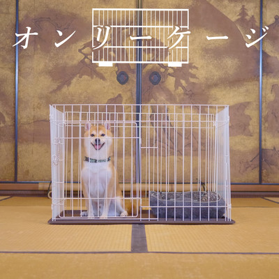 オンリーケージのジャケット写真