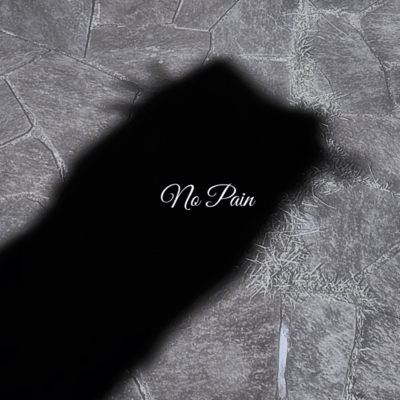 No pain (feat. 2-KID) Front Cover