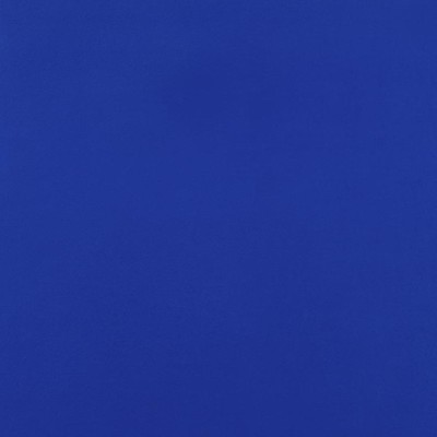 Klein Blue Front Cover