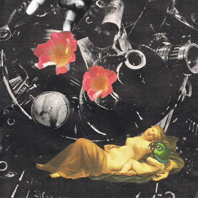 Noctfallupi Front Cover