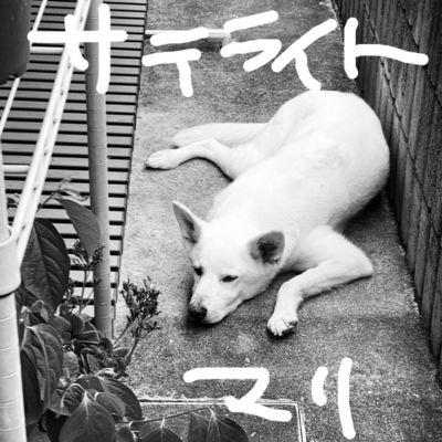 サテライトのジャケット写真