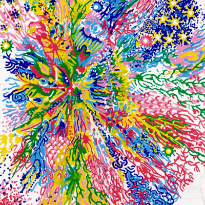 saita saita Front Cover