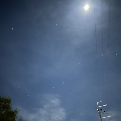 大精算のジャケット写真