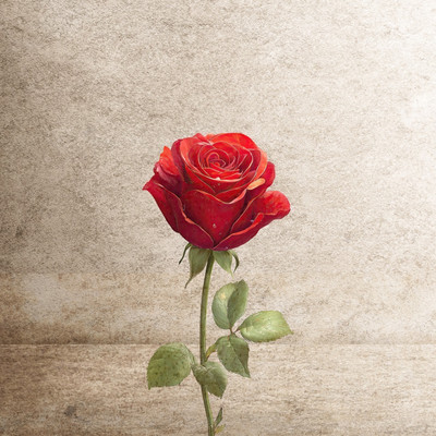 Cry... Front Cover