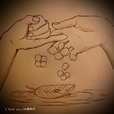 I told you. Front Cover