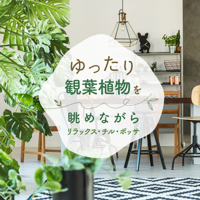 Audio Healing Looking at House Green Plant -Relaxing Chill Bossa- Front Cover