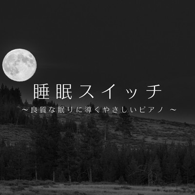 Sleep Switch -Gentle Piano Music That Leads You To A Good Sleep Front Cover