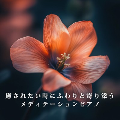 Meditation Piano to Gently Accompany You When You Need Healing Front Cover