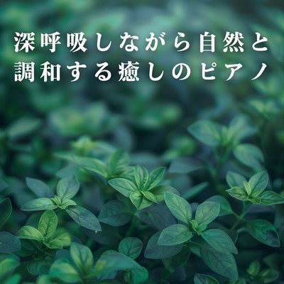 Healing Piano to Breathe Deeply and Connect with Nature Front Cover