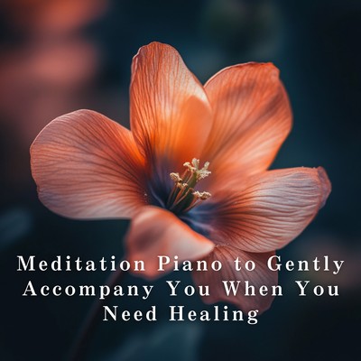 Meditation Piano to Gently Accompany You When You Need Healing Front Cover