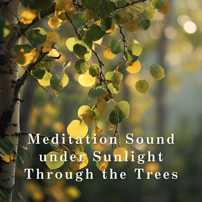 Meditation Sound under Sunlight Through the Trees Front Cover