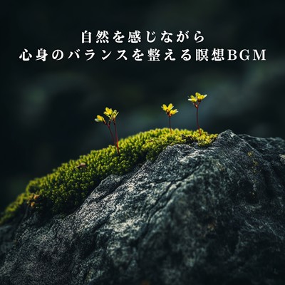 Meditation BGM to Rebalance Mind and Body with a Touch of Nature Front Cover