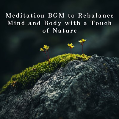 Meditation BGM to Rebalance Mind and Body with a Touch of Nature Front Cover