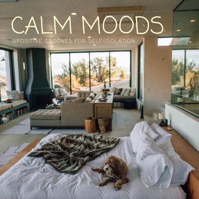 Calm Moods - Positive Grooves For Self -Isolation - Jazzy House Selection Front Cover