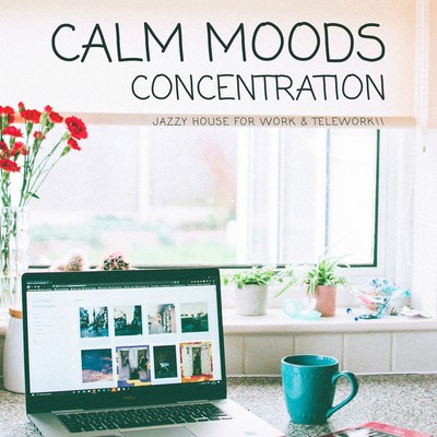 Calm Moods: Concentration - Jazzy House for Work & Telework Front Cover