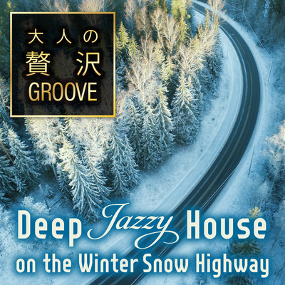 大人の贅沢GROOVE 〜Deep Jazzy House on the Winter Snow Highway〜 (DJ Mix)のジャケット写真