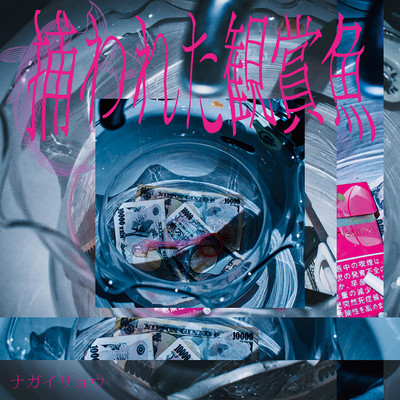 torawareta kannsyougyo Front Cover