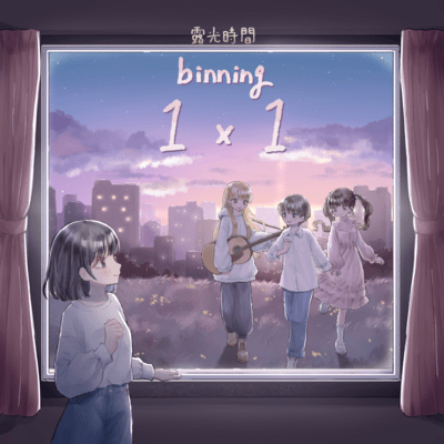 binning 1×1のジャケット写真