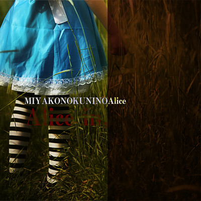Alice in, Front Cover