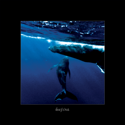 kujira Front Cover
