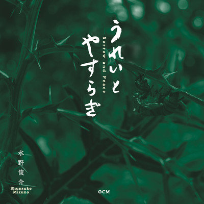 Sorrow and Peace Front Cover