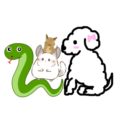 snake song Front Cover