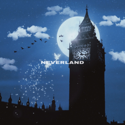 NEVER LANDのジャケット写真