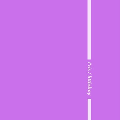 littleboy Front Cover