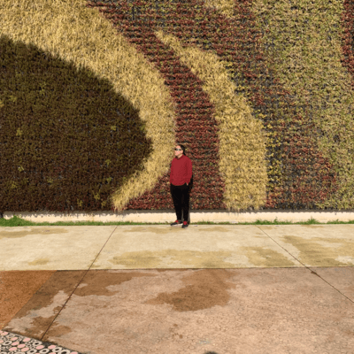 THANK YOU Front Cover