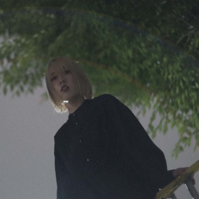 鶫のジャケット写真