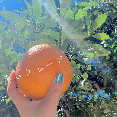 red grapefruit Front Cover