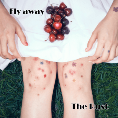 Fly awayのジャケット写真