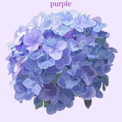 Purple Front Cover