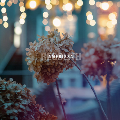 Amerissa Front Cover