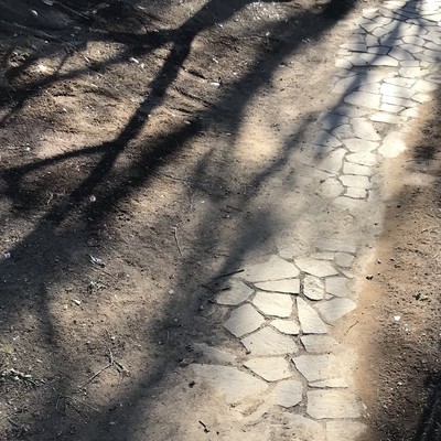 Dancing in the galaxiesのジャケット写真