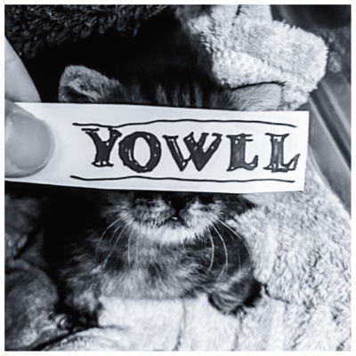 Apathyのジャケット写真