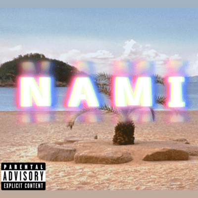 NAMI Front Cover