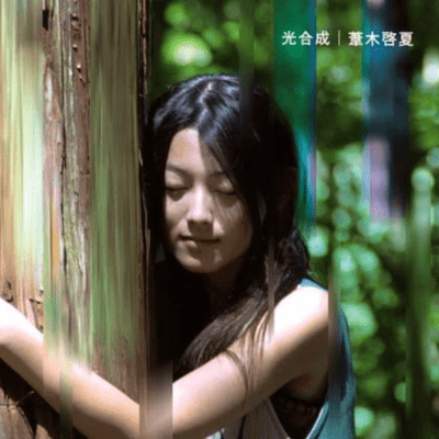 Photosynthesis Front Cover