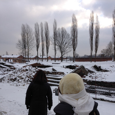 Ashes & Snow Front Cover