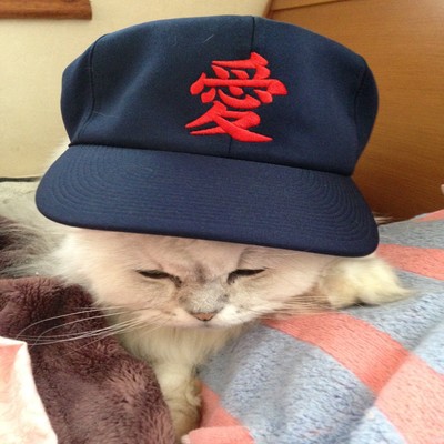 kapo's world Front Cover