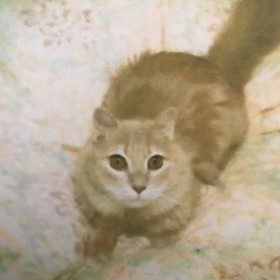 一番素敵なままのジャケット写真