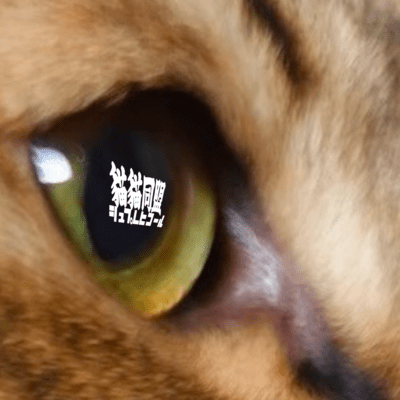 猫猫同盟シュプレヒコールのジャケット写真